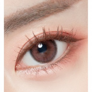 Lighly Rose Rose(日拋)